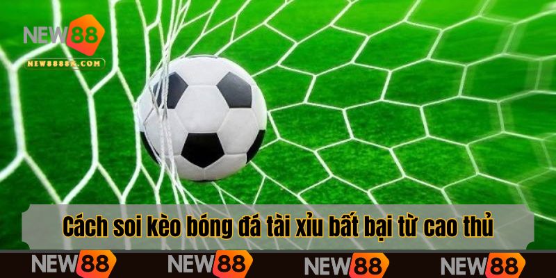 Cách soi kèo bóng đá tài xỉu bất bại từ cao thủ