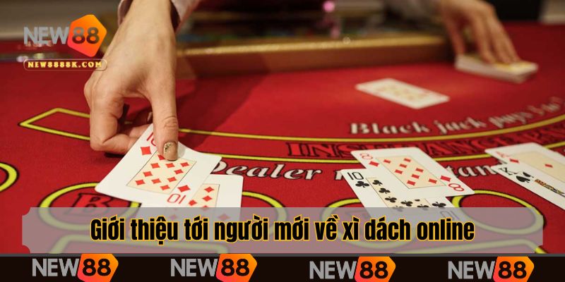 Giới thiệu tới người mới về xì dách online