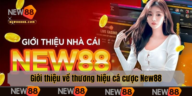 Giới thiệu về thương hiệu cá cược New88