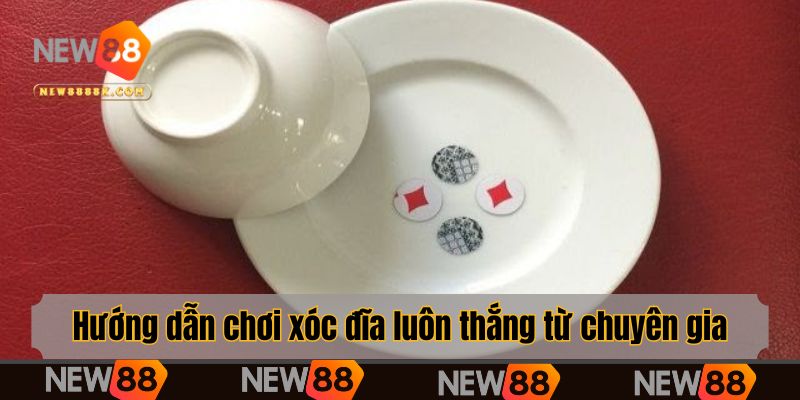 Hướng dẫn chơi xóc đĩa cực dễ hiểu dành cho newbie