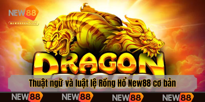 Thuật ngữ và luật lệ Rồng Hổ New88 cơ bản
