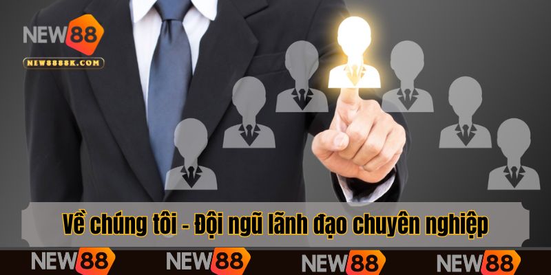 Về chúng tôi - Đội ngũ lãnh đạo chuyên nghiệp