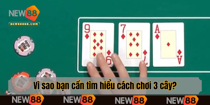 Vì sao bạn cần tìm hiểu cách chơi 3 cây?